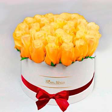 White Box of Yellow Roses