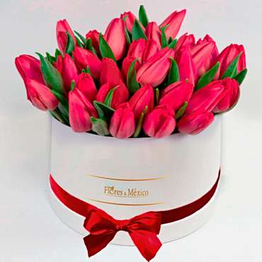 White Box of Tulips
