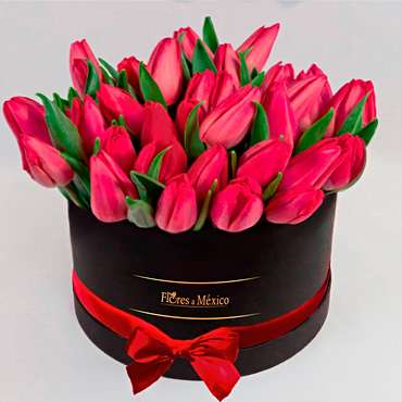 Black Box of Tulips
