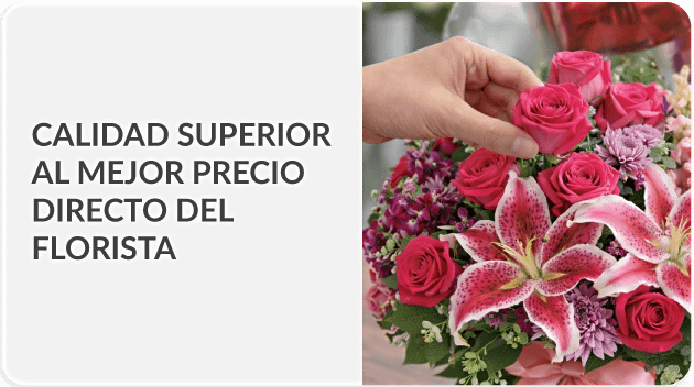 Envía a todo México