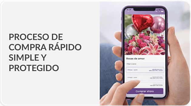 Envío en menos de 2 horas a México - Flores a Mexico
